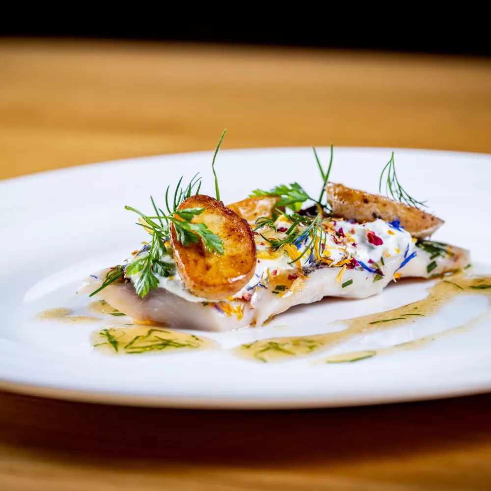 Kettner kocht_Amore Matjes